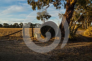 Rusty tun along a fence with door at a farmhouse in outback in the Grampian mountains, Victoria, Australia