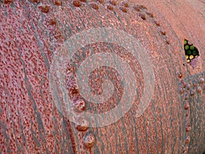 Rusty vestige of an old tank in Guadeloupe