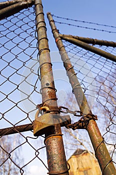 Rusty vintage metallic padlock hangs on wire netting gate