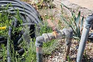 Rusty water garden tap