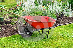 Gardening Tool in Front of a Flower Bed
