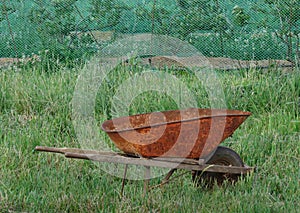 Rusty wheelbarrow in tall grass