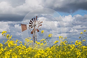 Rusty windmill in a fie