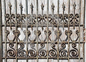 Rusty Wrought Iron Fence Detail