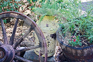 Rusty yellow farm jug used as a planter with a wagon wheel background