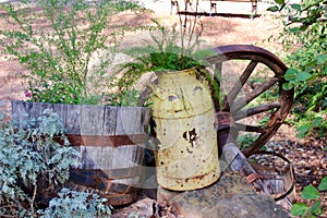 Rusty yellow farm jug used as a planter with a wagon wheel background