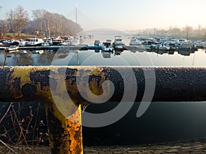 Rusty yellow fence covered with frost at cold autumn morning in Ada marine, Belgrade