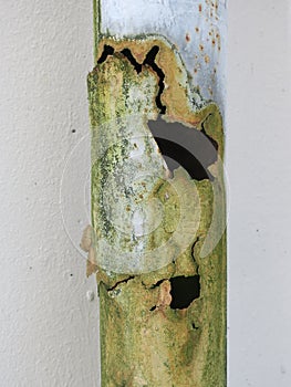 Rusty zink drainpipe covered with green moss