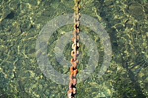 Rustying chain, trasparent water, natural background