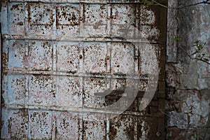 Rusy old paint door vaintage background photo