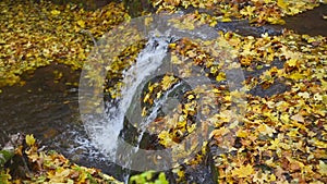 Rusyliv Falls, waterfalls cascade on a small stream tributary of Stripa natural monument of local importance.Southeast