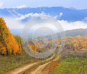 Rut road in autumn forest