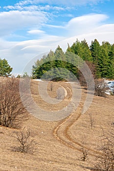 Rut road on mountain meadow