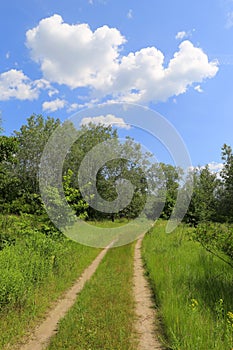 Rut road in nice summer day