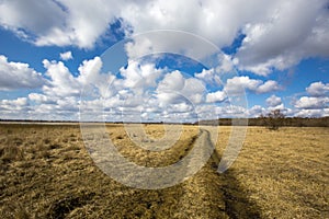 Rut road in steppe