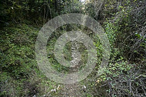 Ruta del abrigo de Chimiachas in Sierra de Guara in Huesca, Spain. photo