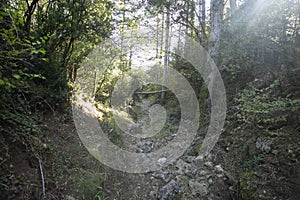 Ruta del abrigo de Chimiachas in Sierra de Guara in Huesca, Spain. photo