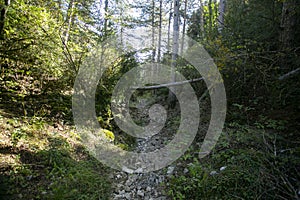 Ruta del abrigo de Chimiachas in Sierra de Guara in Huesca, Spain. photo