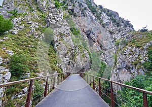 Ruta del Oso Bear`s Route in Asturias, Spain photo