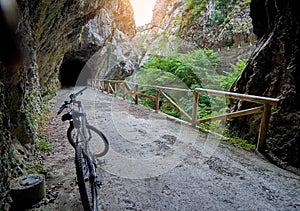 Ruta del Oso Bear`s Route in Asturias, Spain photo