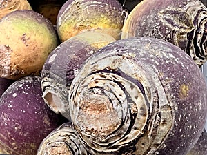 Rutabaga on display in local farmers food market