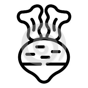 Rutabaga root icon outline vector. Fresh raw turnip