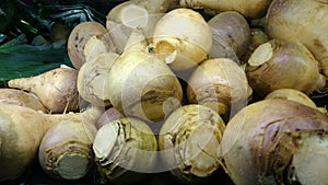 Rutabaga, Swedish turnip, Brassica napus rapifera,