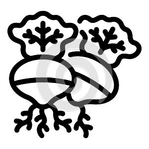 Rutabaga vegetables icon outline vector. Nutritional root veggies