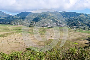 Ruteng - Panoramic view on iconic spider web rice fields