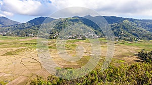 Ruteng - Panoramic view on iconic spider web rice fields