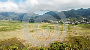 Ruteng - Panoramic view on iconic spider web rice fields photo