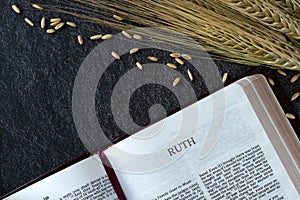 Ruth open holy bible book with barley stalk and ripe grain on dark background, top view