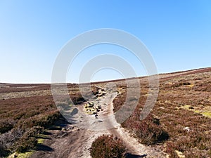 Rutted and rock strewn footpath winds up Derwent Moor in Derbyshire.