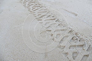 Rutty wheelprint on the sand