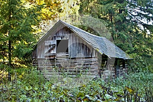 Ruzomberok - Cernova, abandoned old hut in Cutkovska valley.