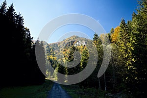 Ruzomberok - Cutkovska Valley, view of Goat peak.