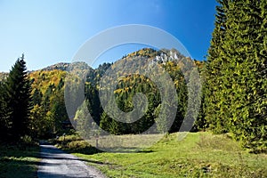 Ruzomberok - Cutkovska Valley, view of Goat peak.