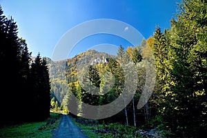 Ruzomberok - Cutkovska Valley, view of Goat peak.