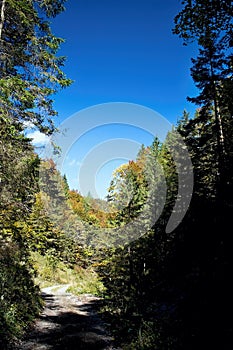 Ruzomberok - Cutkovska valley - walk through the valley with the surrounding nature.