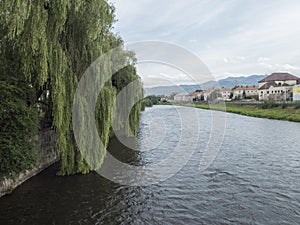 Ruzomberok, Slovakia, August 30, 2020: view from bridge on river Vah with weeping willow and houses on the benk in