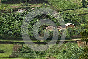 Rwanda photo