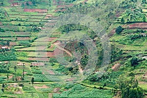 Rwanda photo