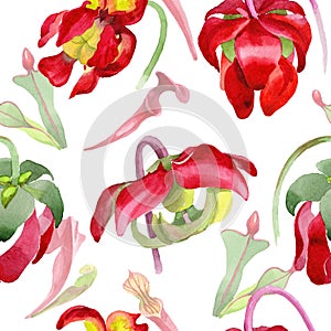 RWildflower Sarracenia flower in a watercolor style pattern.r