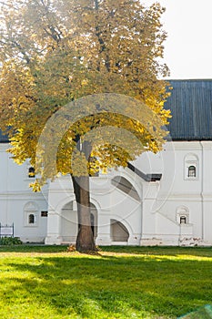 Ryazan Kremlin on autumn - ansamble of ortodox church