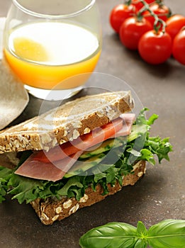 rye bread sandwich with vegetables