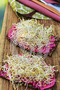 Rye bread with sprouts and beetroot cream
