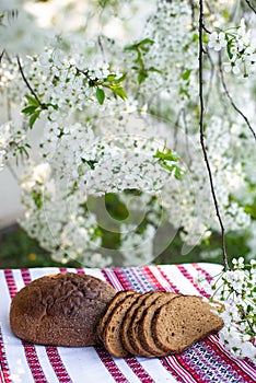 Rye bread on a wooden board against a background of with blooming cherry branches. fresh bread on a background of flowering trees