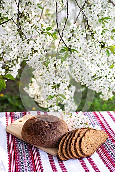 Rye bread on a wooden board against a background of with blooming cherry branches. fresh bread on a background of flowering trees