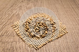 Rye cereal grain. Grains on square cutout of jute. Wooden table.