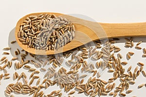 Rye cereal grain. Healthy grains on a wooden spoon. White background.